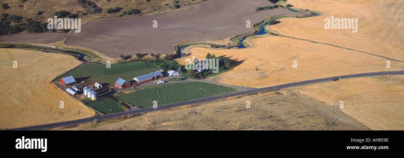 Azienda Agricola di contorno vicino Pullman S E Washington Foto Stock