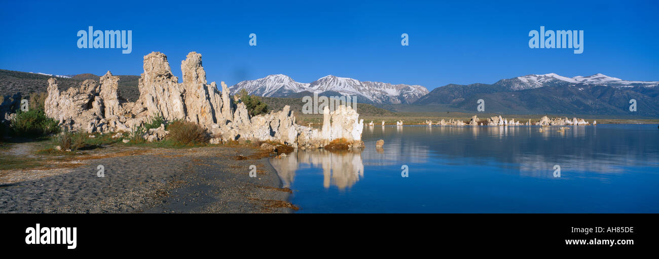 Il tufo formazioni rocciose emergenti dal lago Mono in California Foto Stock
