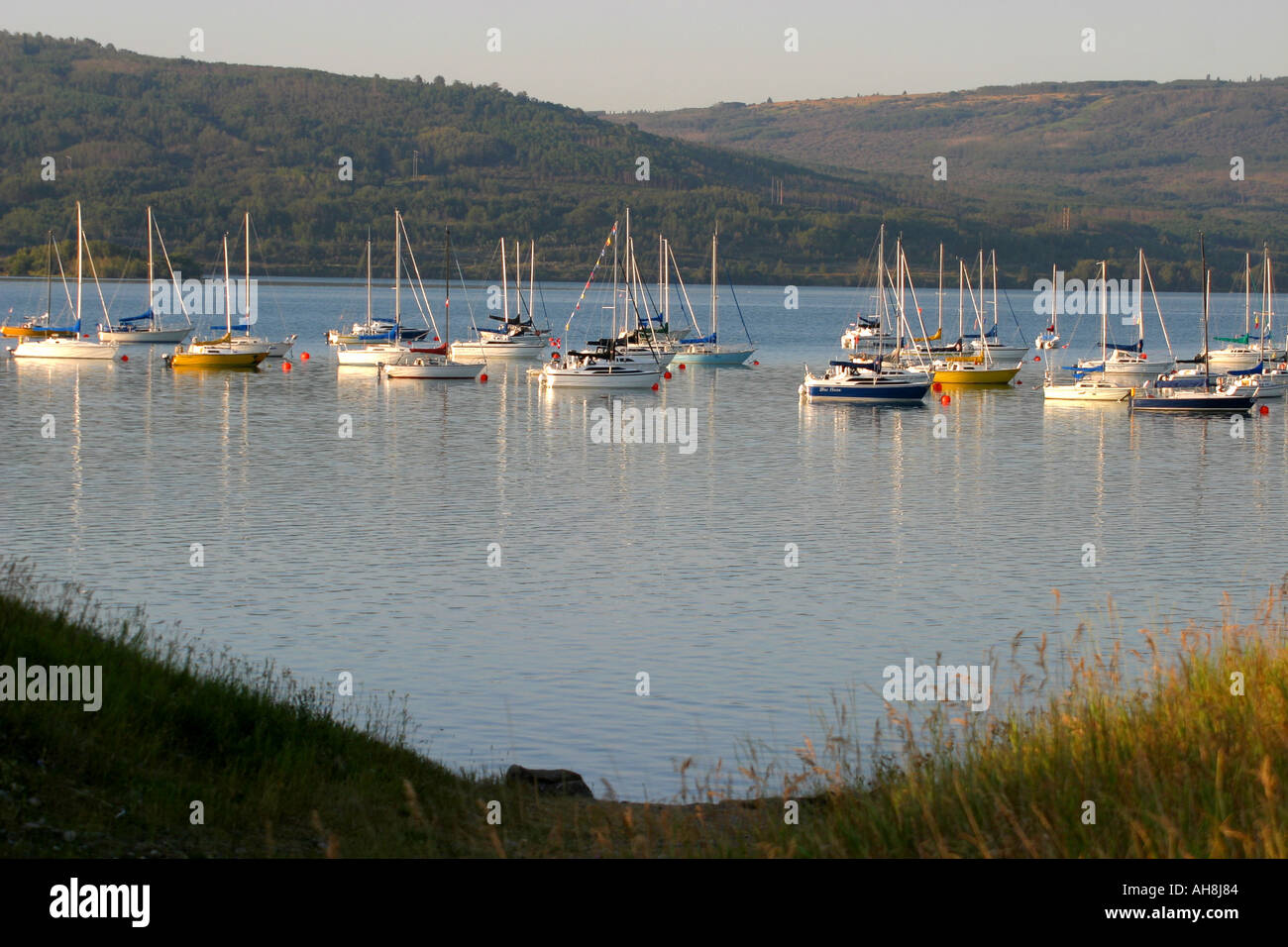 Barche a vela a Marina Foto Stock