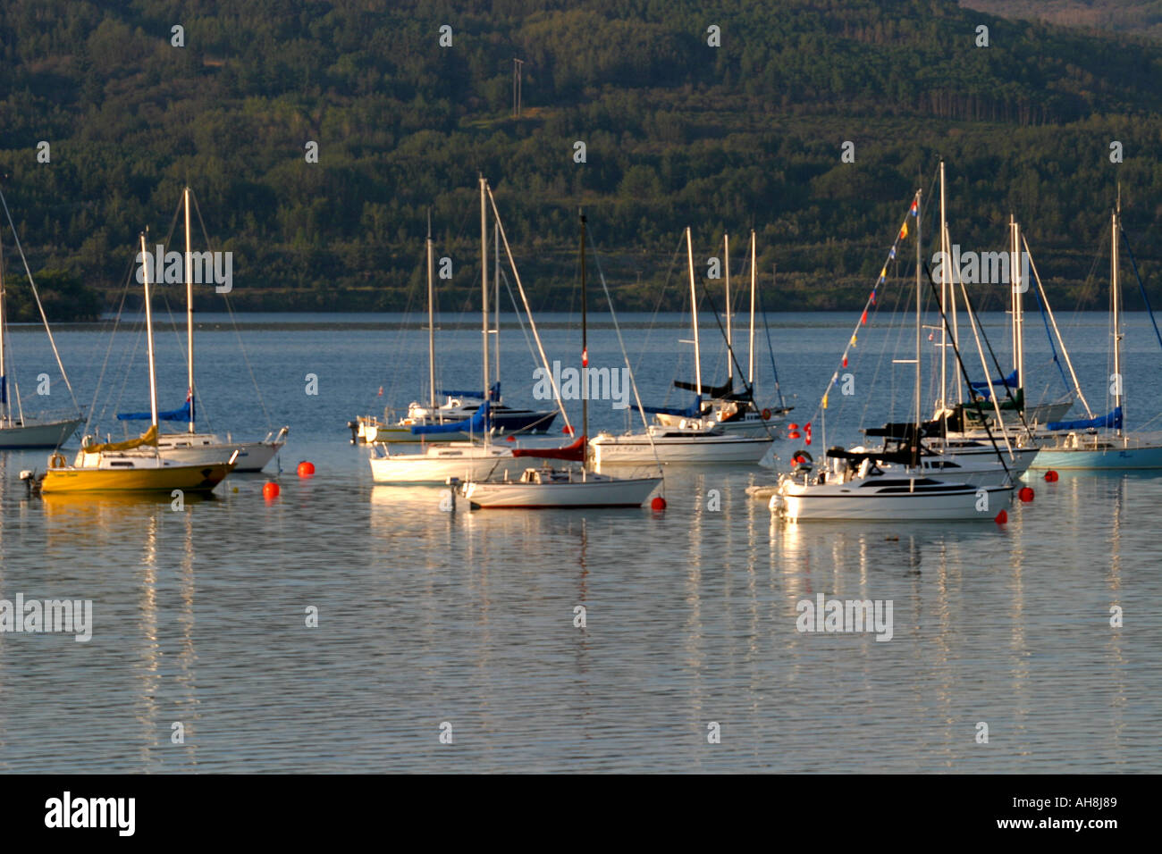 Barche a vela a Marina Foto Stock