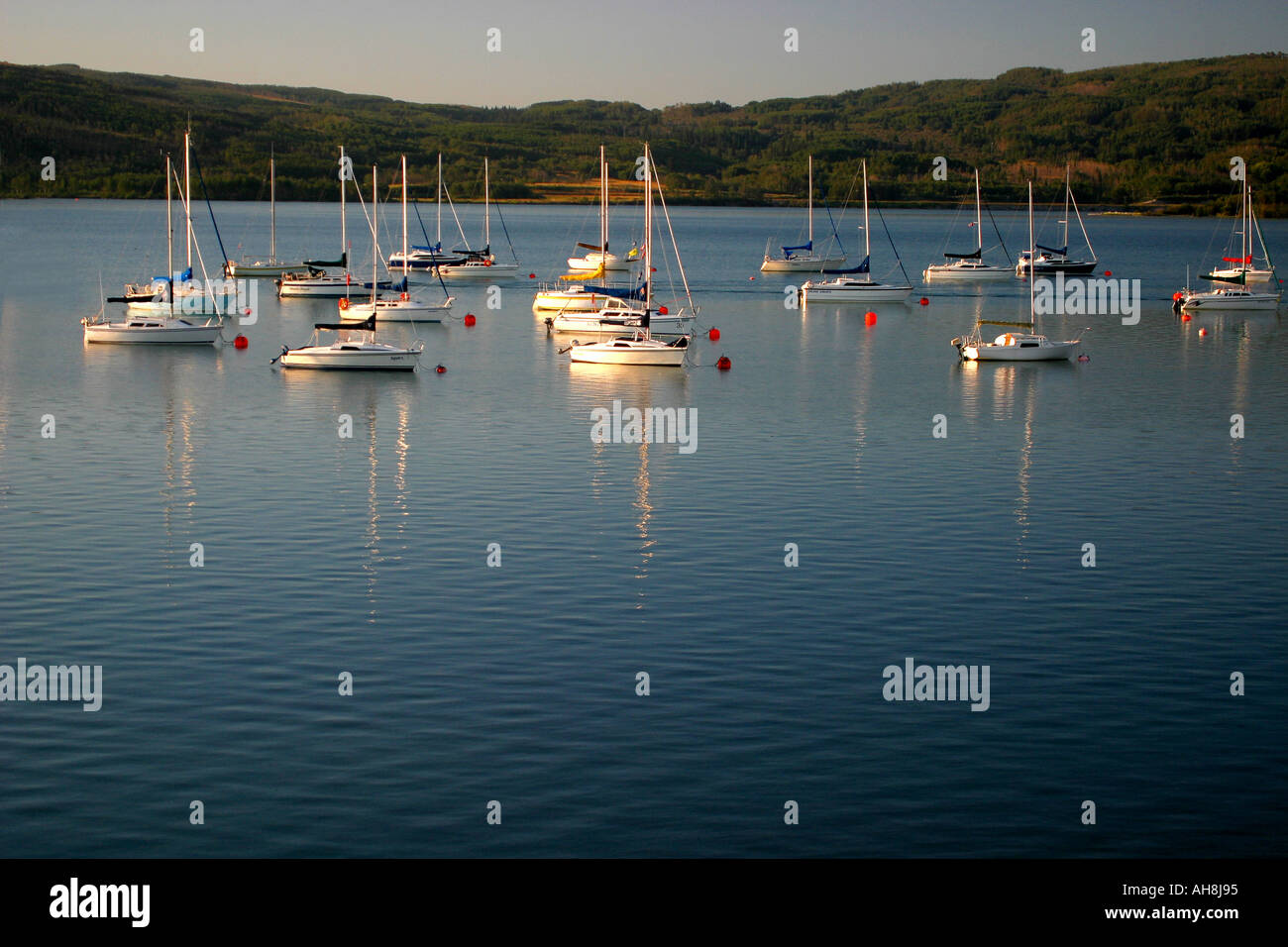 Barche a vela a Marina Foto Stock