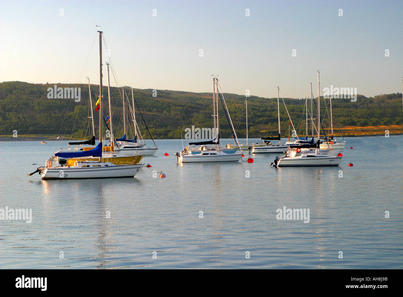 Barche a vela a Marina Foto Stock