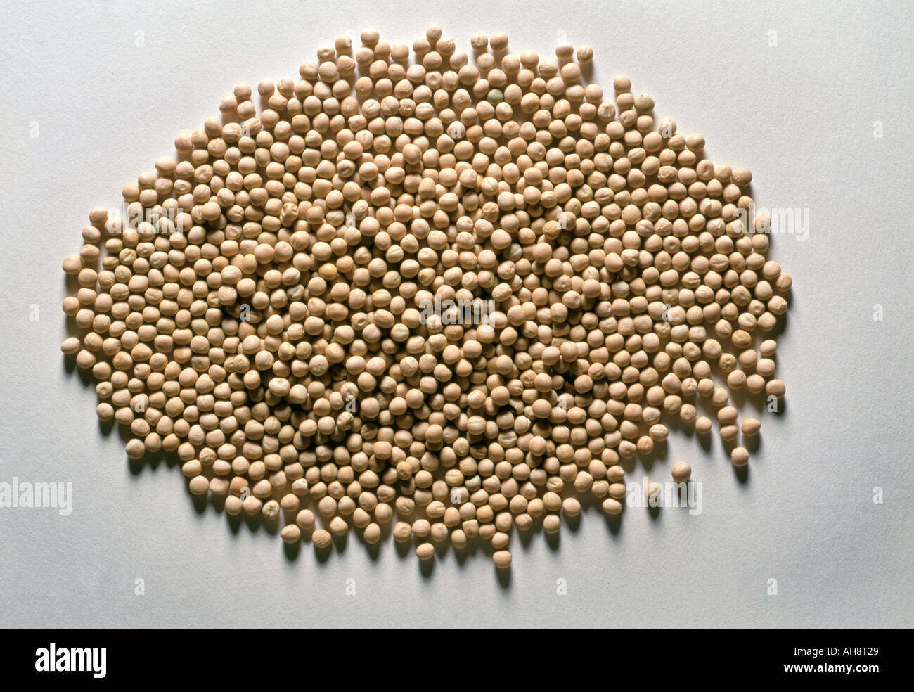 AAD71629 Cibo asciugato bianco piselli pisum sativum Foto Stock