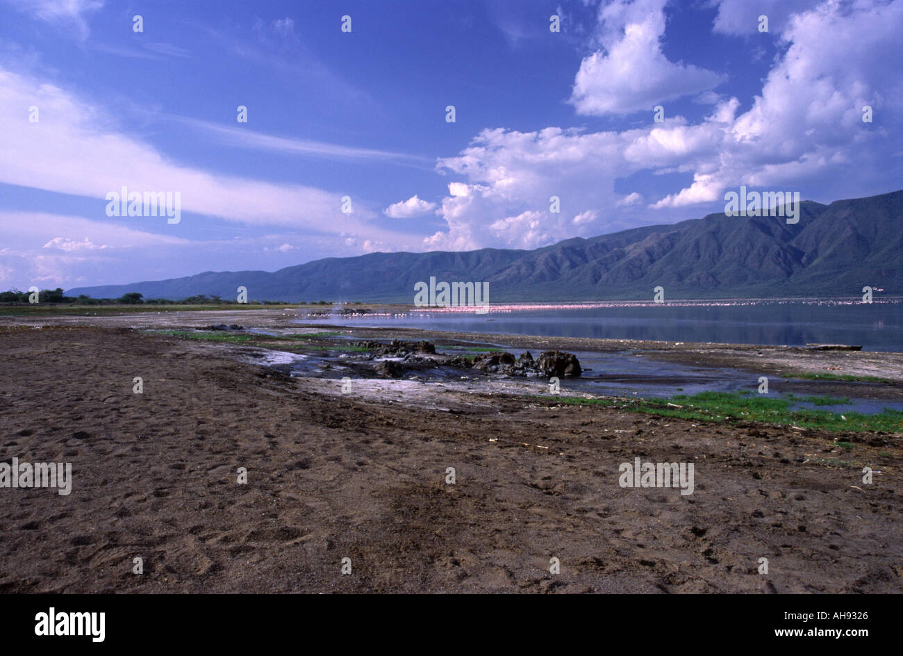 Il lago Bogoria Kenya Foto Stock