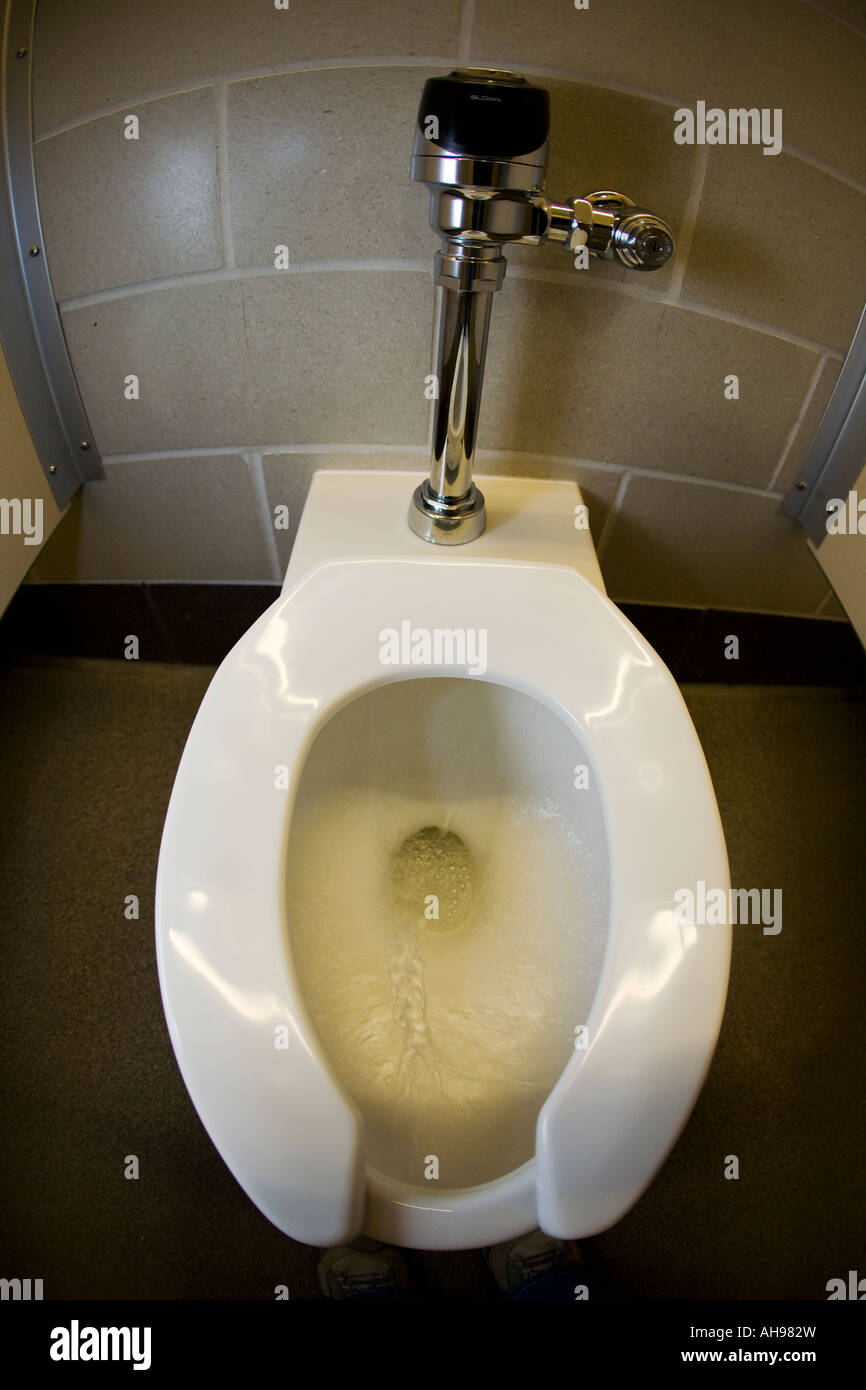ILLINOIS Chicago Womens restroom facility white water lavaggio sgabello in  stallo Foto stock - Alamy