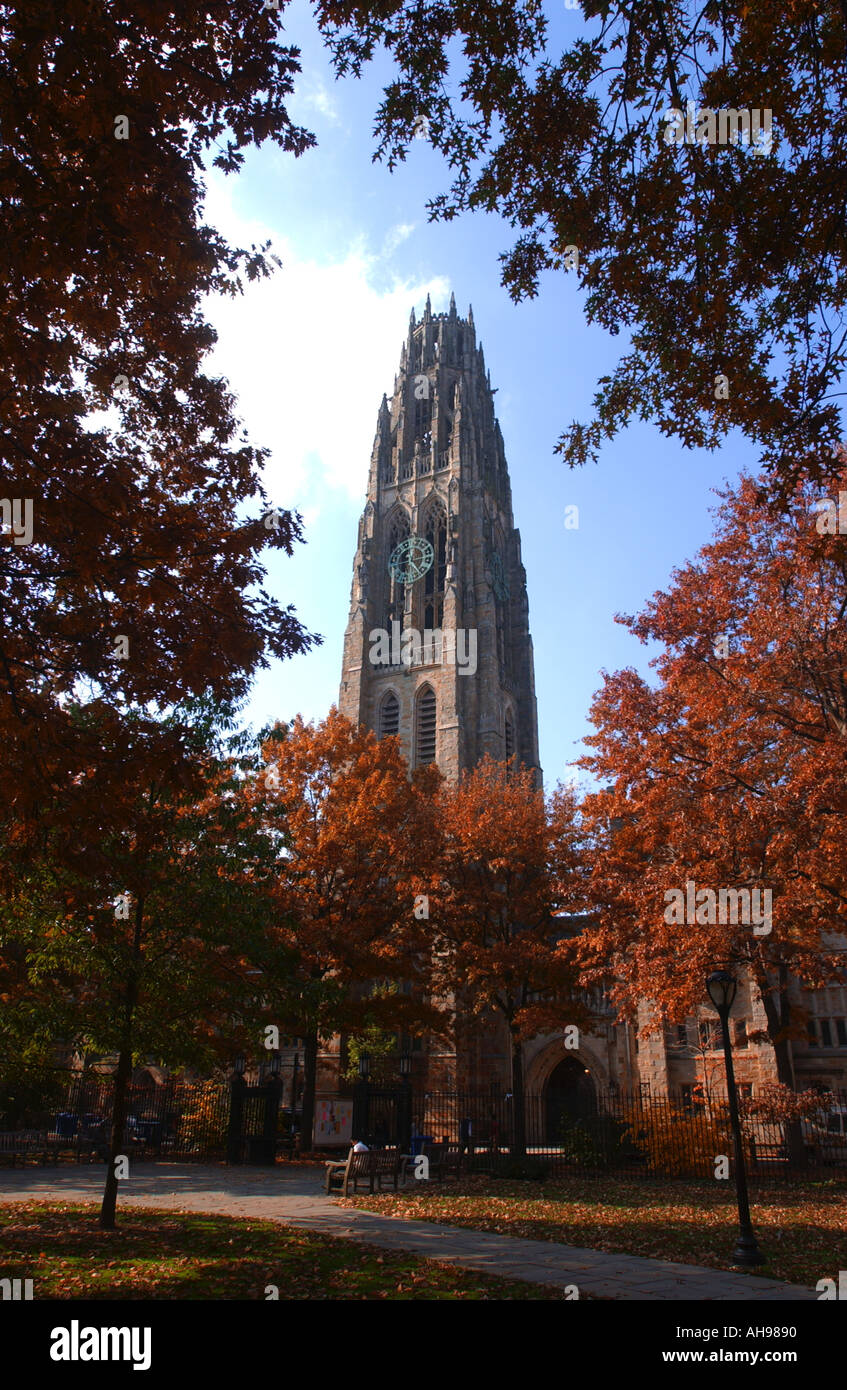 Harkness Tower Yale University College campus Foto Stock