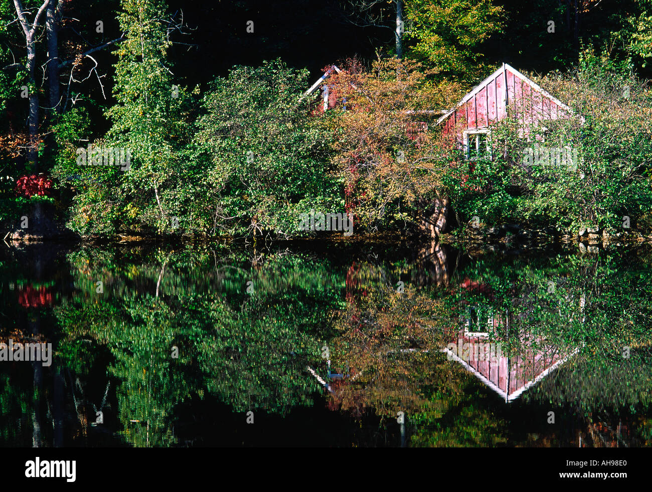 Granaio rosso fogliame di autunno riflesso in uno stagno, New Hampshire Foto Stock