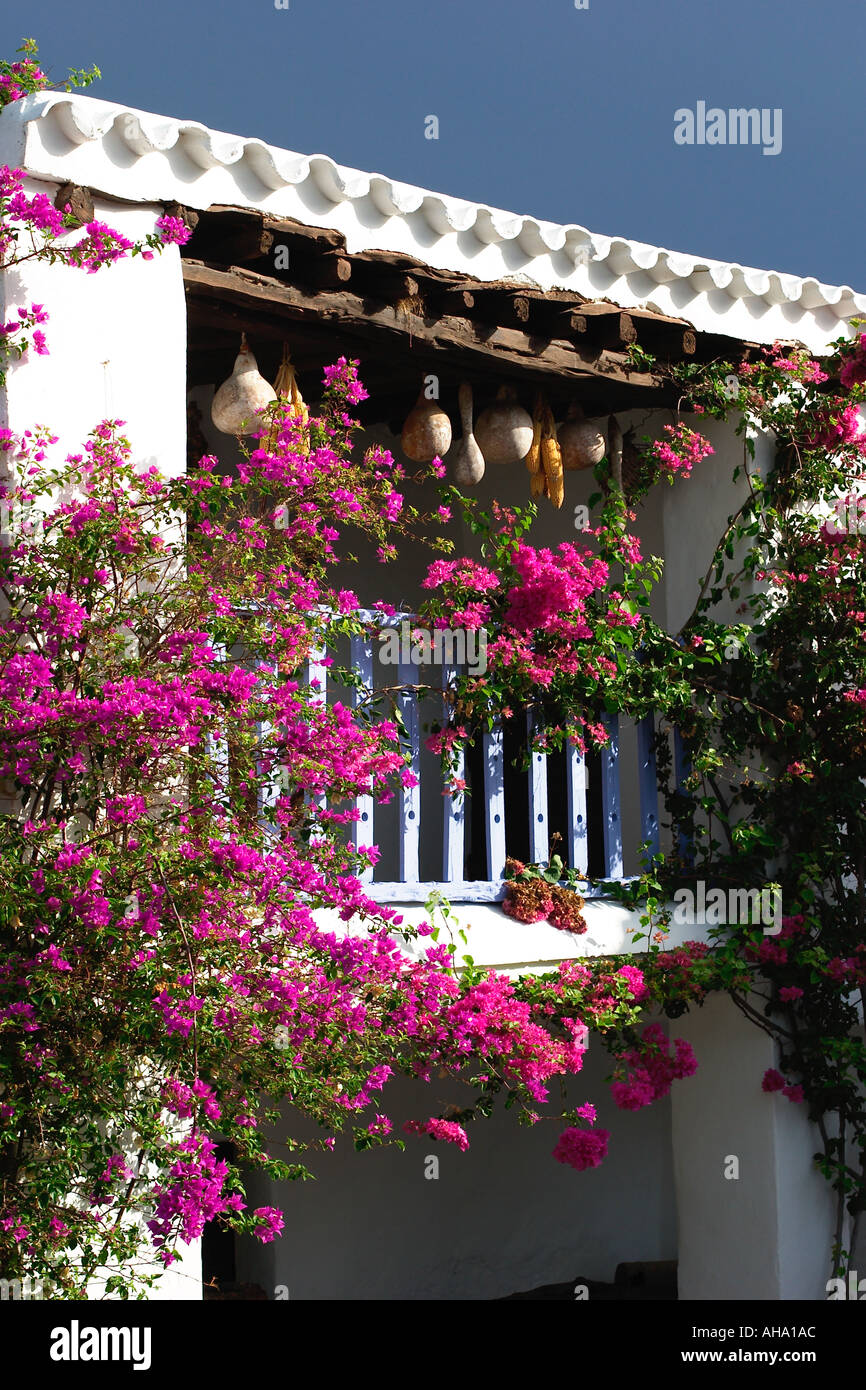 Es TRU1 de Ca n Andeu tipico del XVII secolo la casa in Sant Carles de Paralta su Ibiza Foto Stock