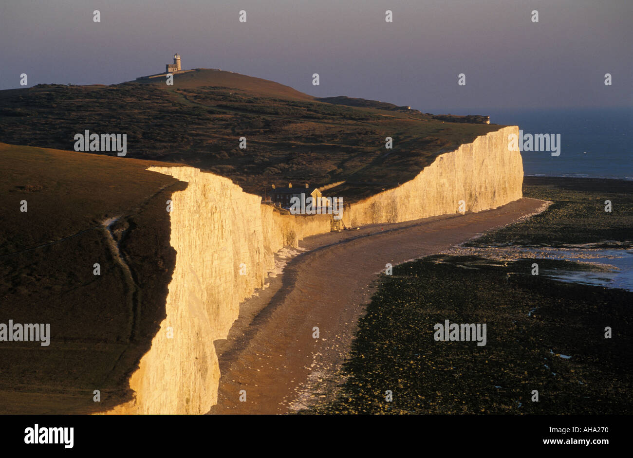 Birling Gap e Belle Toute Lighthouse vicino a Eastbourne East Sussex England Regno Unito Foto Stock
