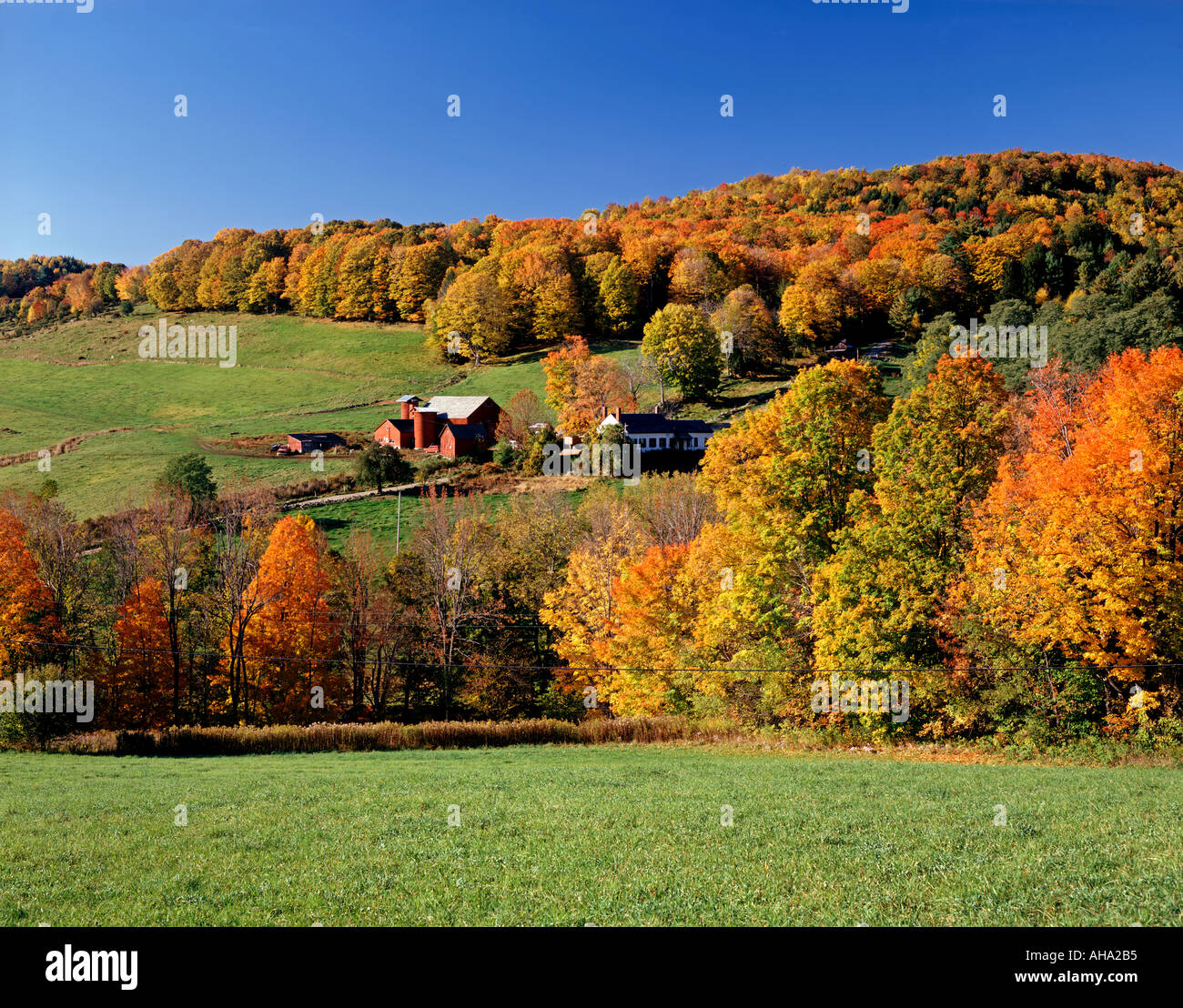 Agriturismo vicino a Barnet Vermont USA e caduta delle foglie Foto Stock