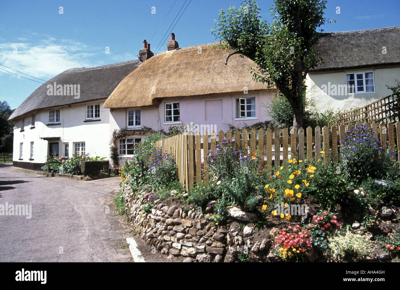 Quant tipicamente vecchio villaggio inglese di East Budleigh Devon con case di paglia Inghilterra, Regno Unito Foto Stock