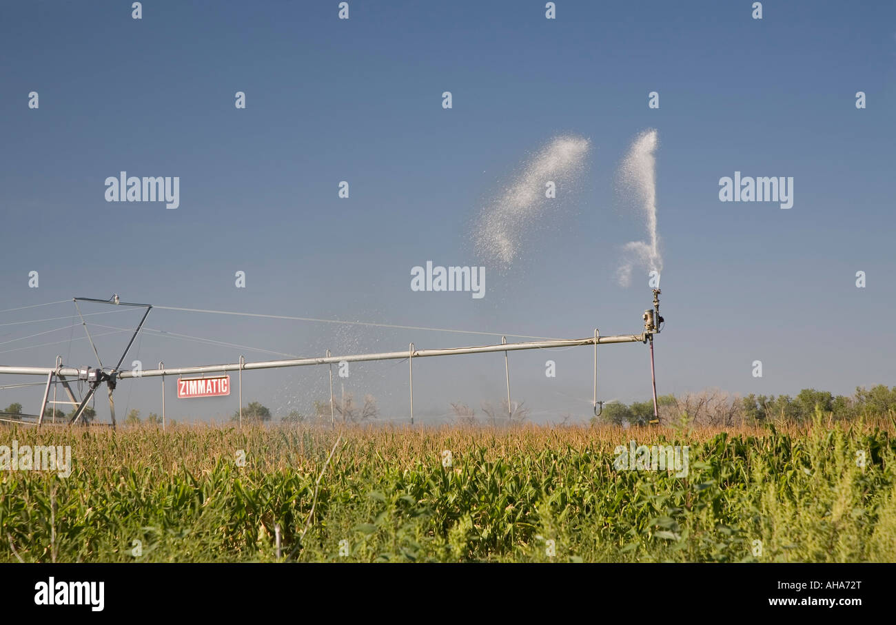 Goodrich Colorado un irroratore irriga un campo di mais su Colorado prairie Foto Stock
