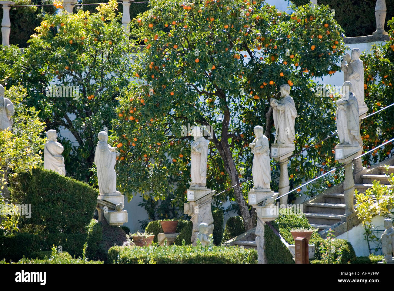 I primi 18c i giardini barocchi del palazzo vescovile (Il Jardim do Paco episcopale) a Castelo Branco, in Portogallo Foto Stock