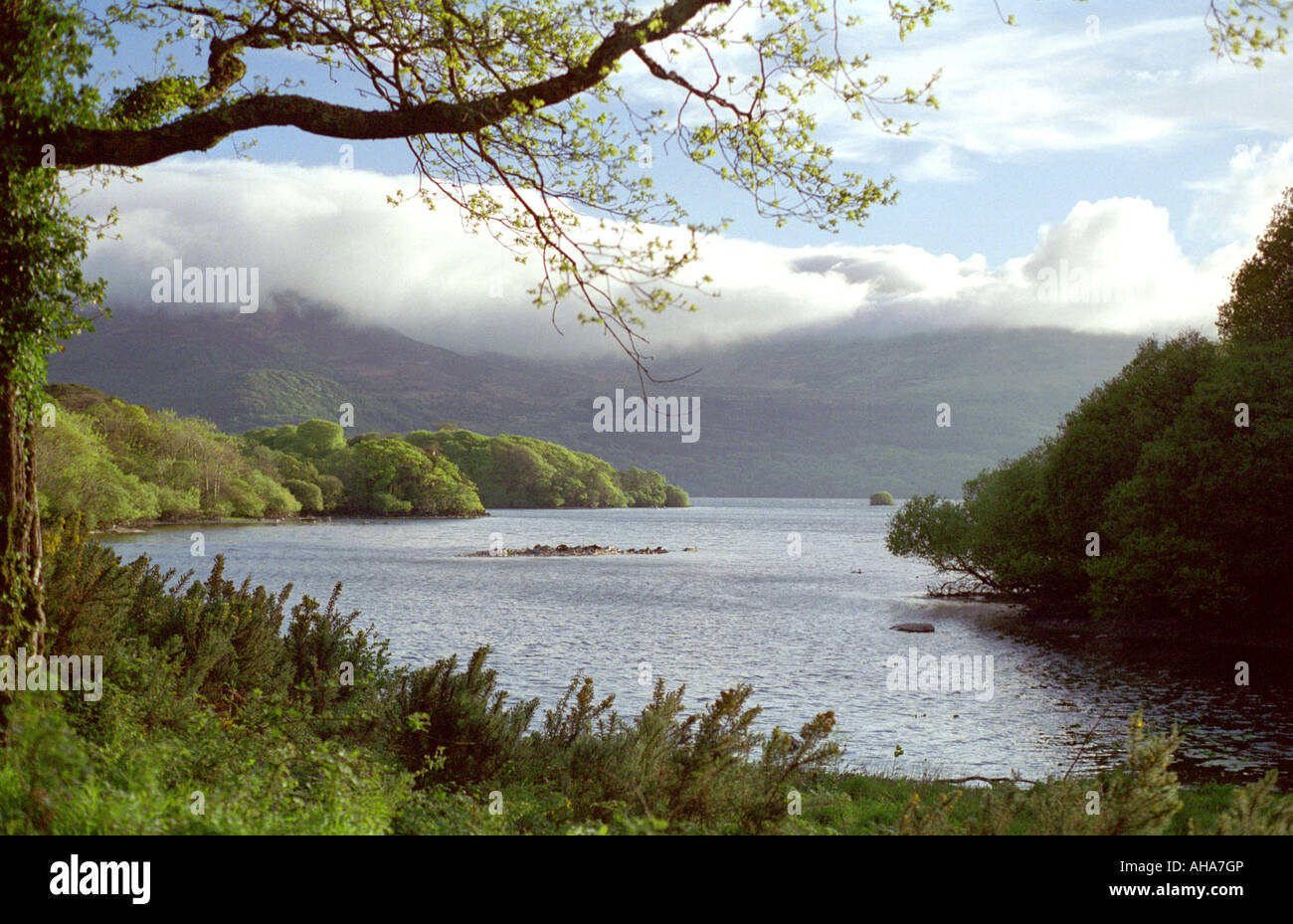 Luce della Sera sul Lough Leane Contea di Kerry Irlanda Foto Stock