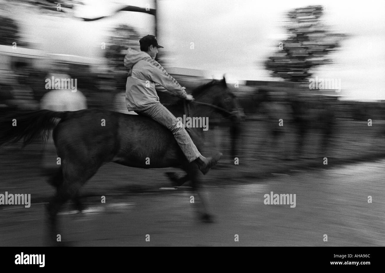 Speed Trial, con bareback gypsy rider, prima della corsa di cavalli Foto Stock