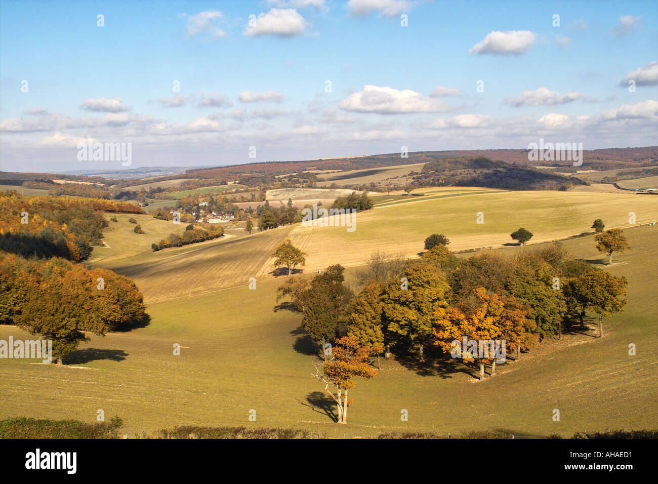 Vista verso il villaggio di Singleton West Sussex England Regno Unito Foto Stock