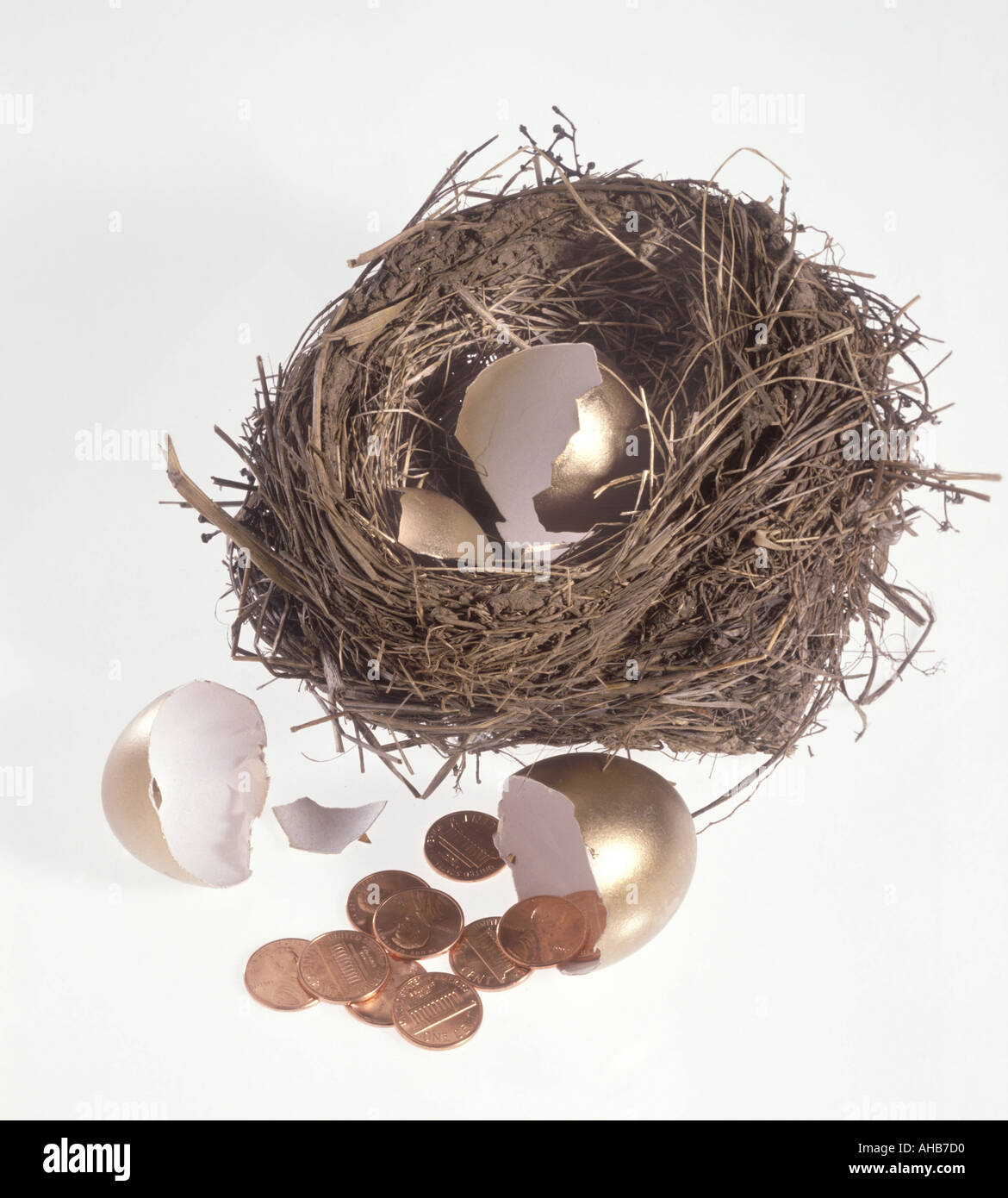 Sottofinanziata nido uovo Foto Stock
