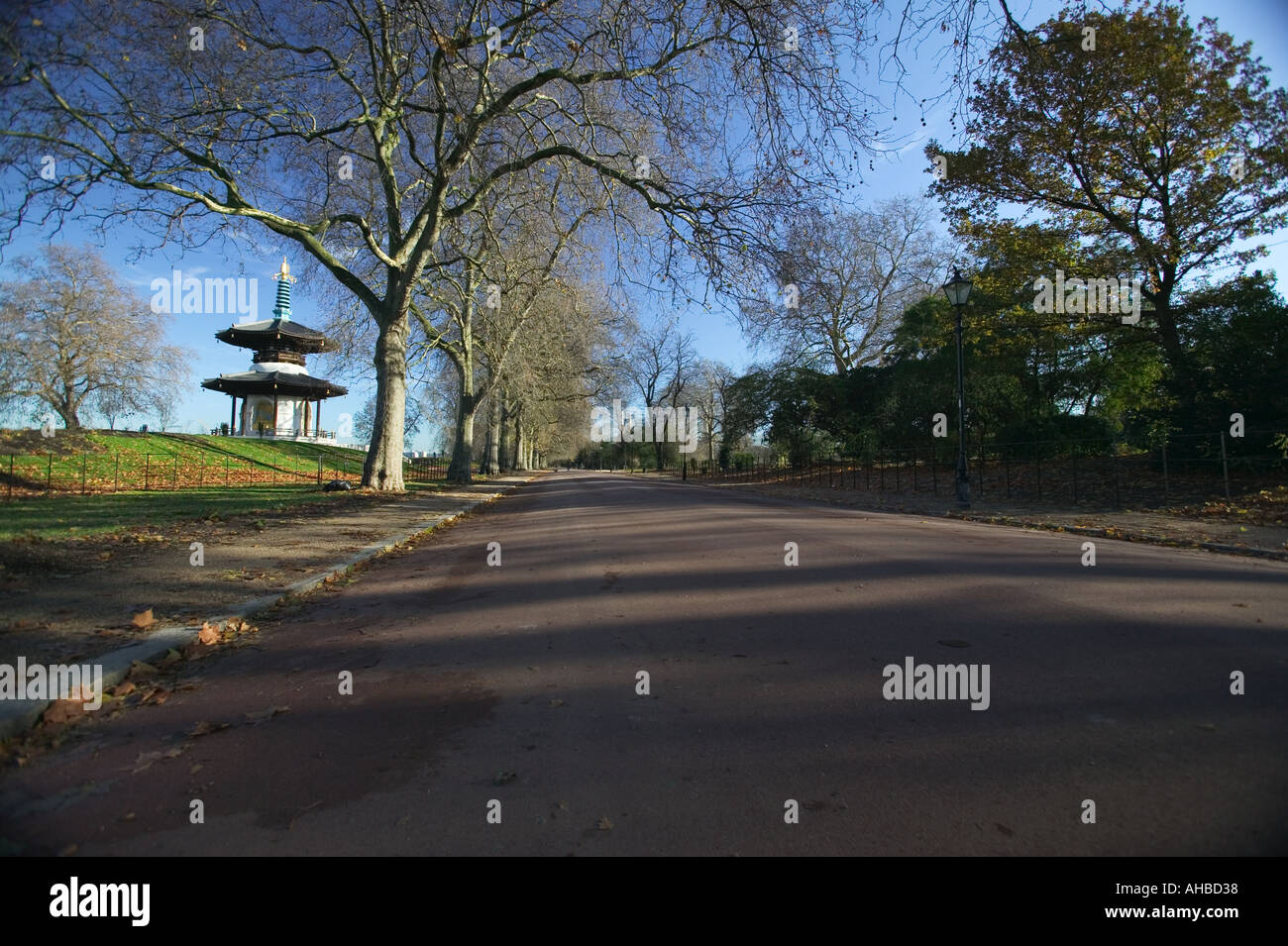 Pagoda della Pace,Battersea,parco,Londra Foto Stock