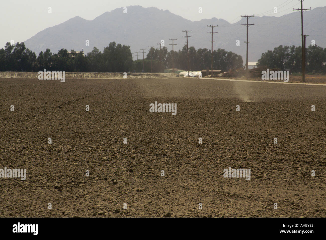 Diavolo di polvere a secco la California del sud campo Foto Stock