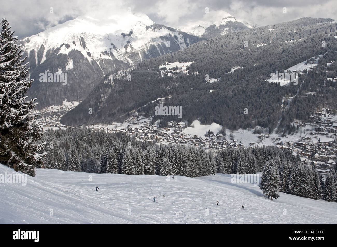 Montagne e alberi di pino con piste da sci al di sopra di Morzine negli sport invernali snow ski resort area Haute Savoie sulle alpi francesi Francia Foto Stock
