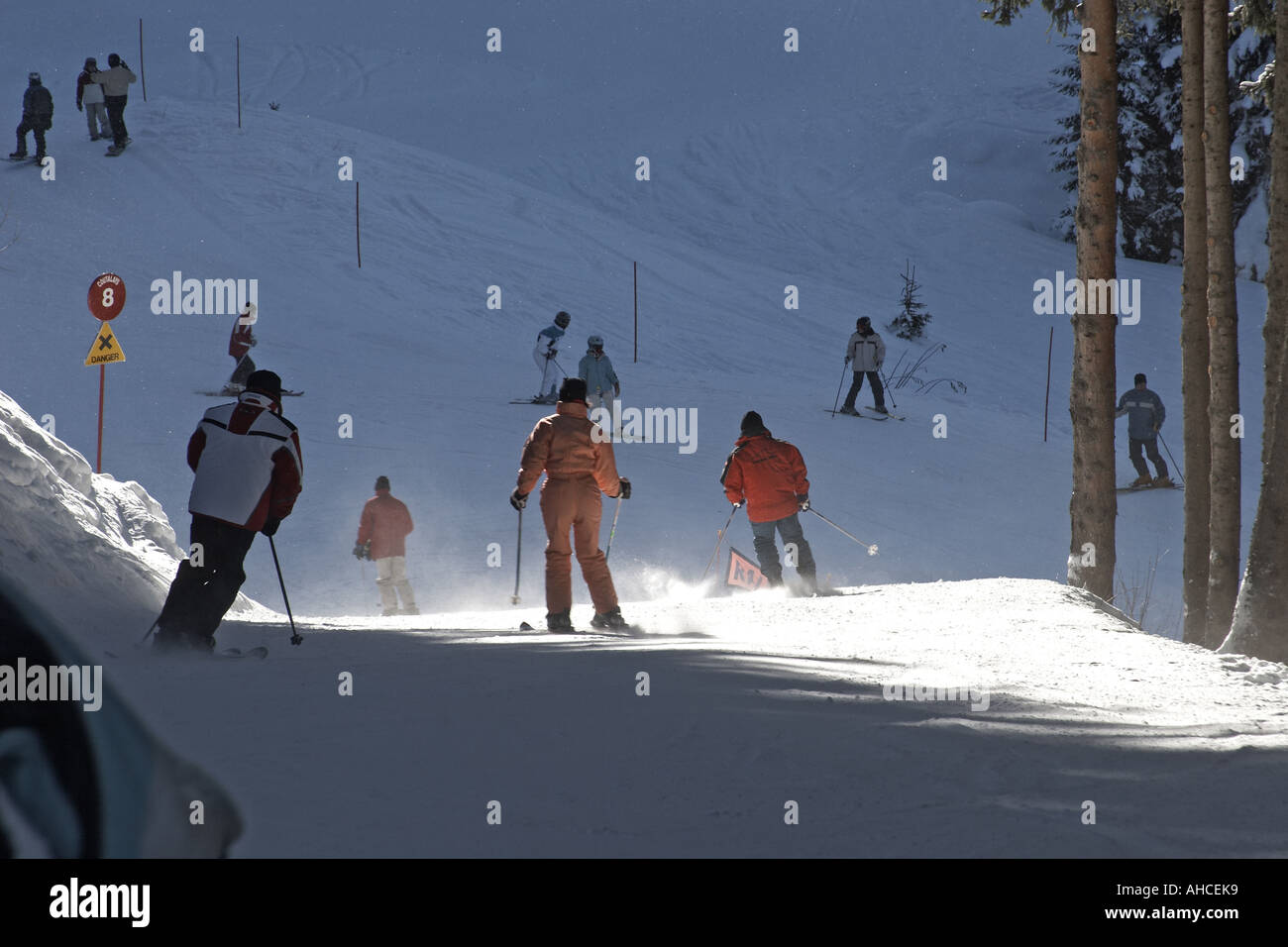 Persone di sciare su piste Coutalays attraverso boschi di pino Foto Stock