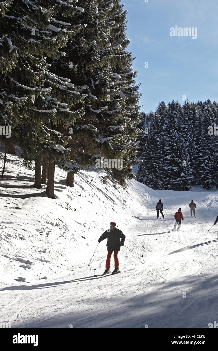 Persone di sciare su piste Coutalays attraverso boschi di pino Foto Stock