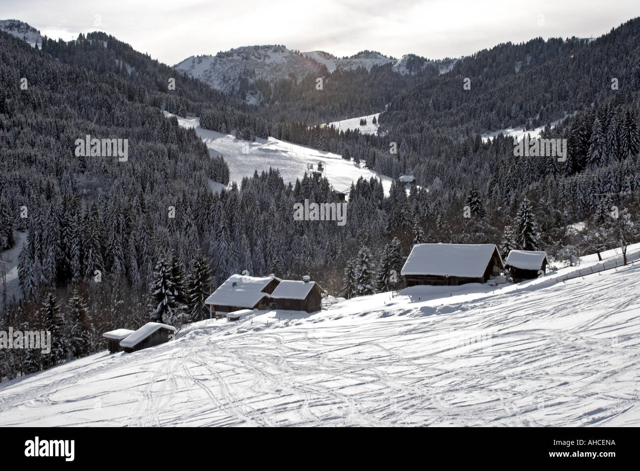 Chalets e alberi di pino di sport invernale Sci da neve area resort di Morzine Haute Savoie sulle alpi francesi Francia Foto Stock