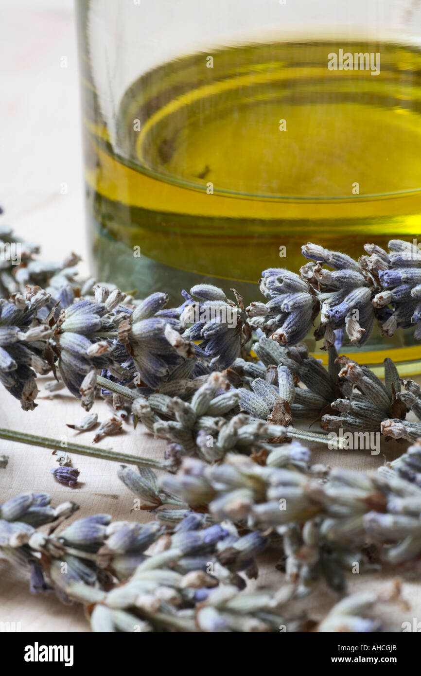 Close up di fiori di lavanda e olio di oliva. Foto Stock