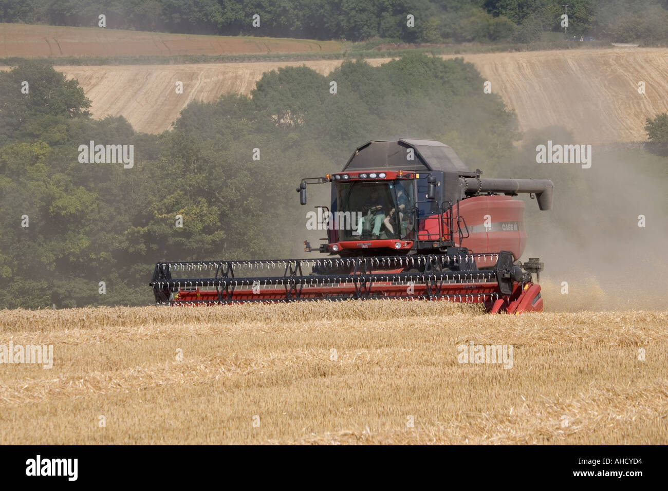 Red mietitrebbia lavora in Cotswolds nei pressi di Winchcombe REGNO UNITO Foto Stock