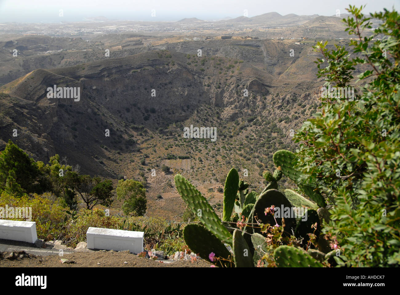 Isole Canarie Spagna Islas Canarias vulcano Caldera de Bandama Foto Stock