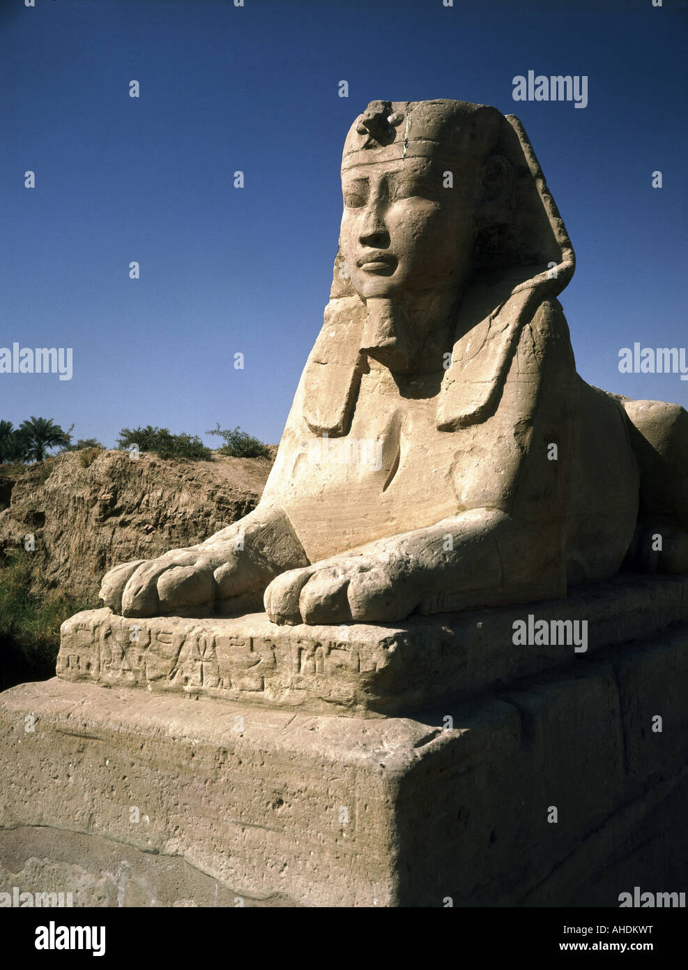 Viaggio / geografia, Egitto, Luxor, edifici, tempio, famiglia divina Theban Amun, Mut, Chons, vista esterna, viale sfinge che conduce al tempio di fronte con pilone di Ramesse II, donato dal faraone Nectanebo i, 380 - 343 a.C., storico, storico, Africa, architettura, templi, mondo antico, nuovo Regno, 30th dinastia, 4th secolo a.C., scultura, sculture, mondo antico, Foto Stock