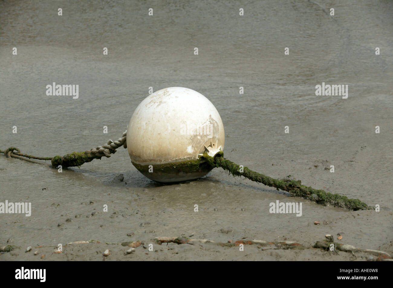 Singola bianco bouy che mostra a bassa marea con attacco funi visibile nella banca del fiume di fango Foto Stock