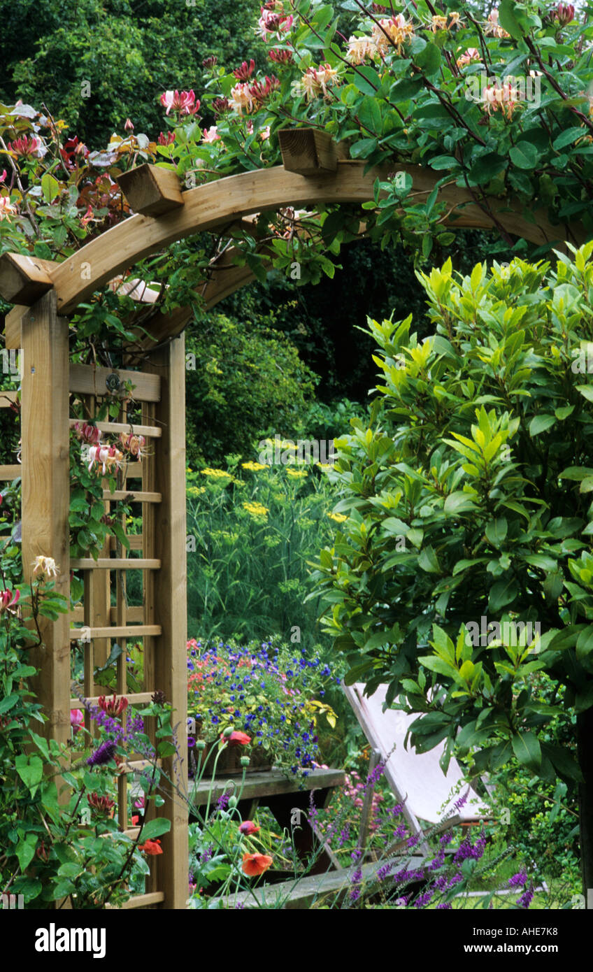 Arco trellis, legno, caprifoglio, bay tree, lonicera, garden design archi Foto Stock