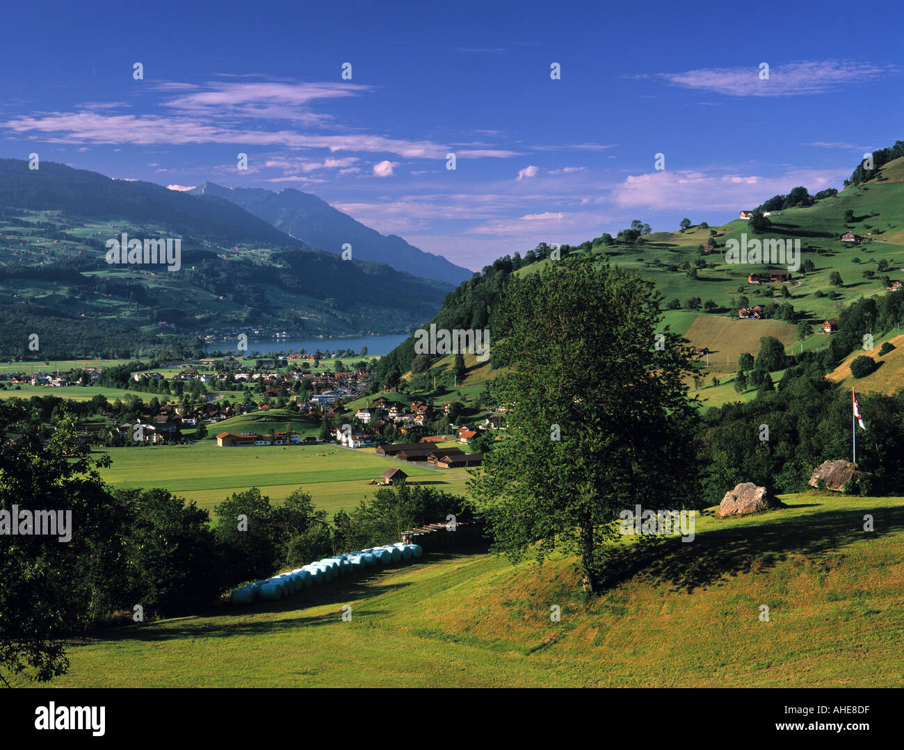 Giswil, Lago di Sarnen, nr. Luzurn, Svizzera Foto Stock