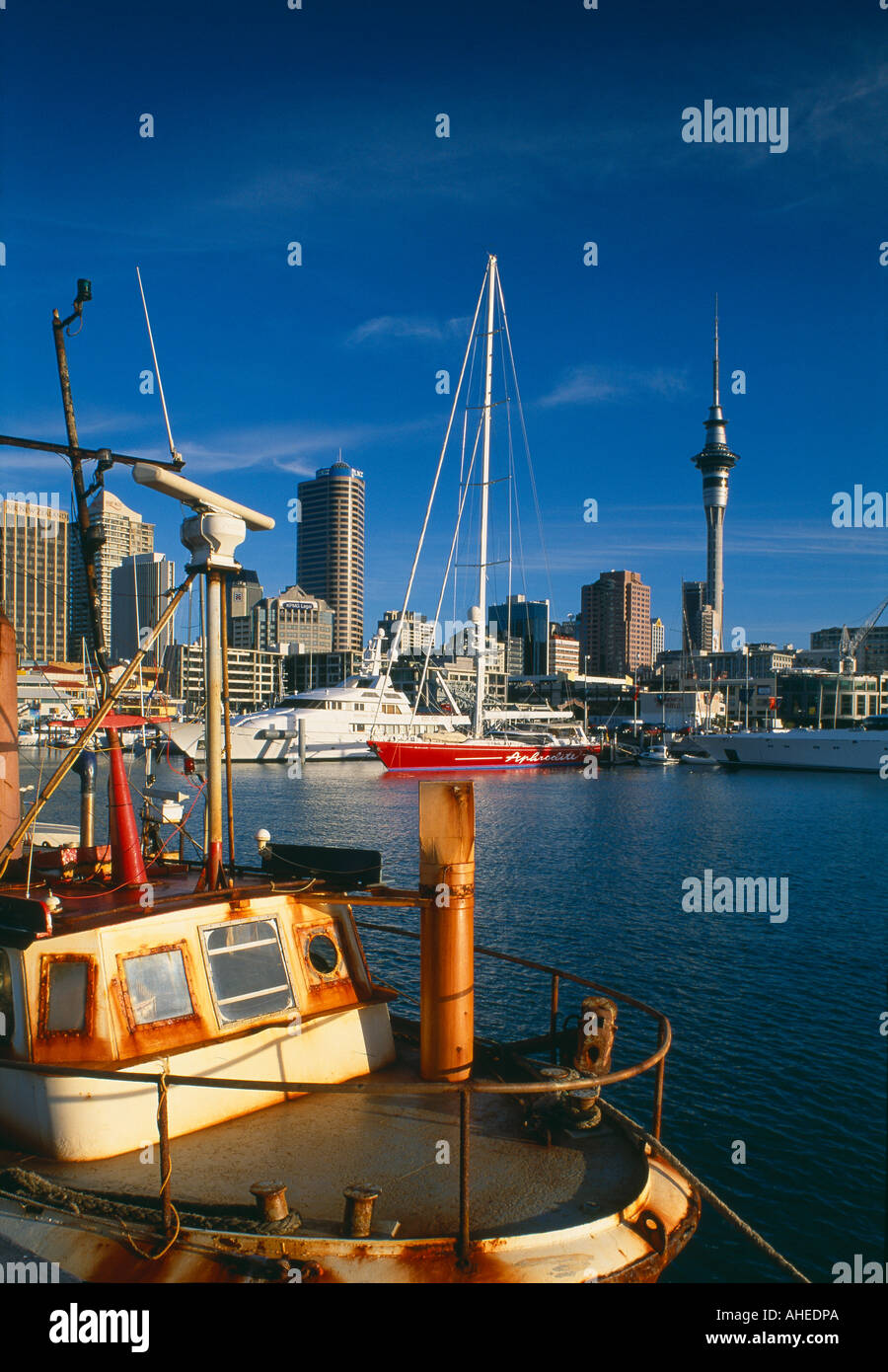 La Sky Tower e al di sopra del porto di Auckland Isola del nord della Nuova Zelanda Foto Stock