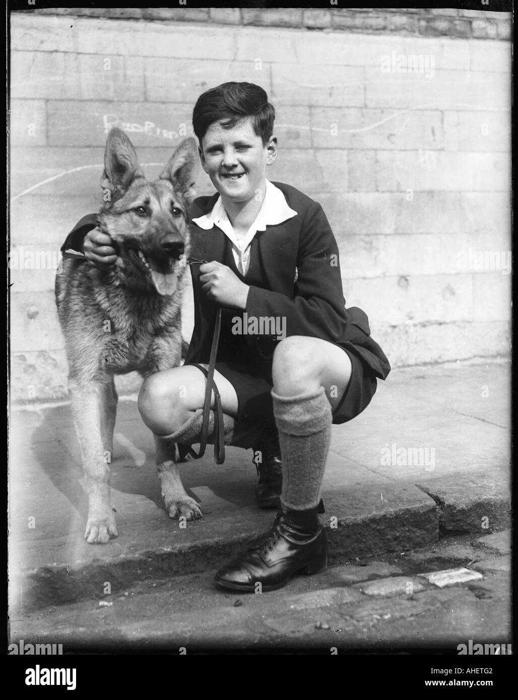 Ragazzo Pastore Tedesco Foto Stock