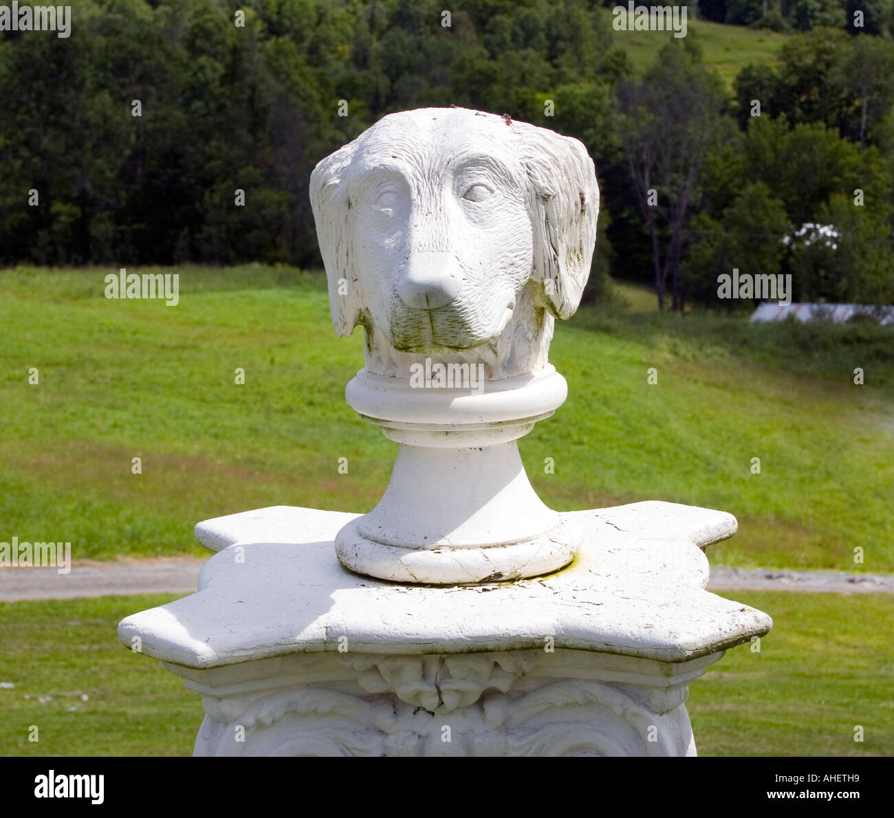 Busto di cane su un piedistallo presso la cappella del cane in Saint Johnsbury Vermont Foto Stock