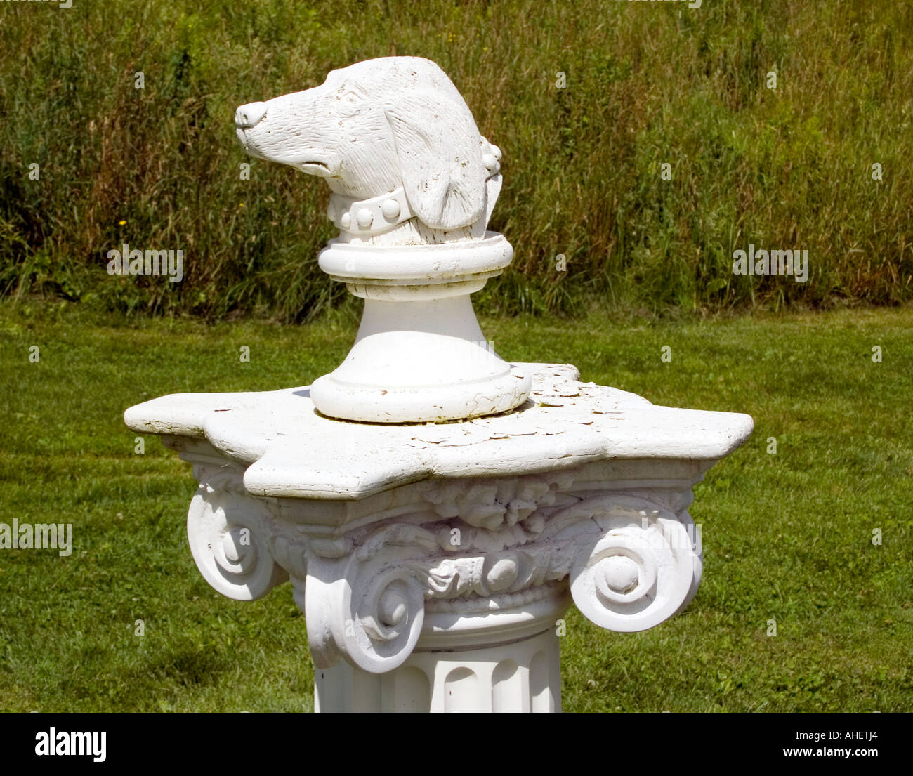 Testa di cane busto presso la cappella del cane in Saint Johnsbury Vermont Foto Stock