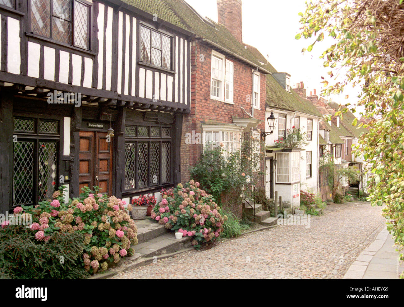 Street in Rye East Sussex Regno Unito Foto Stock