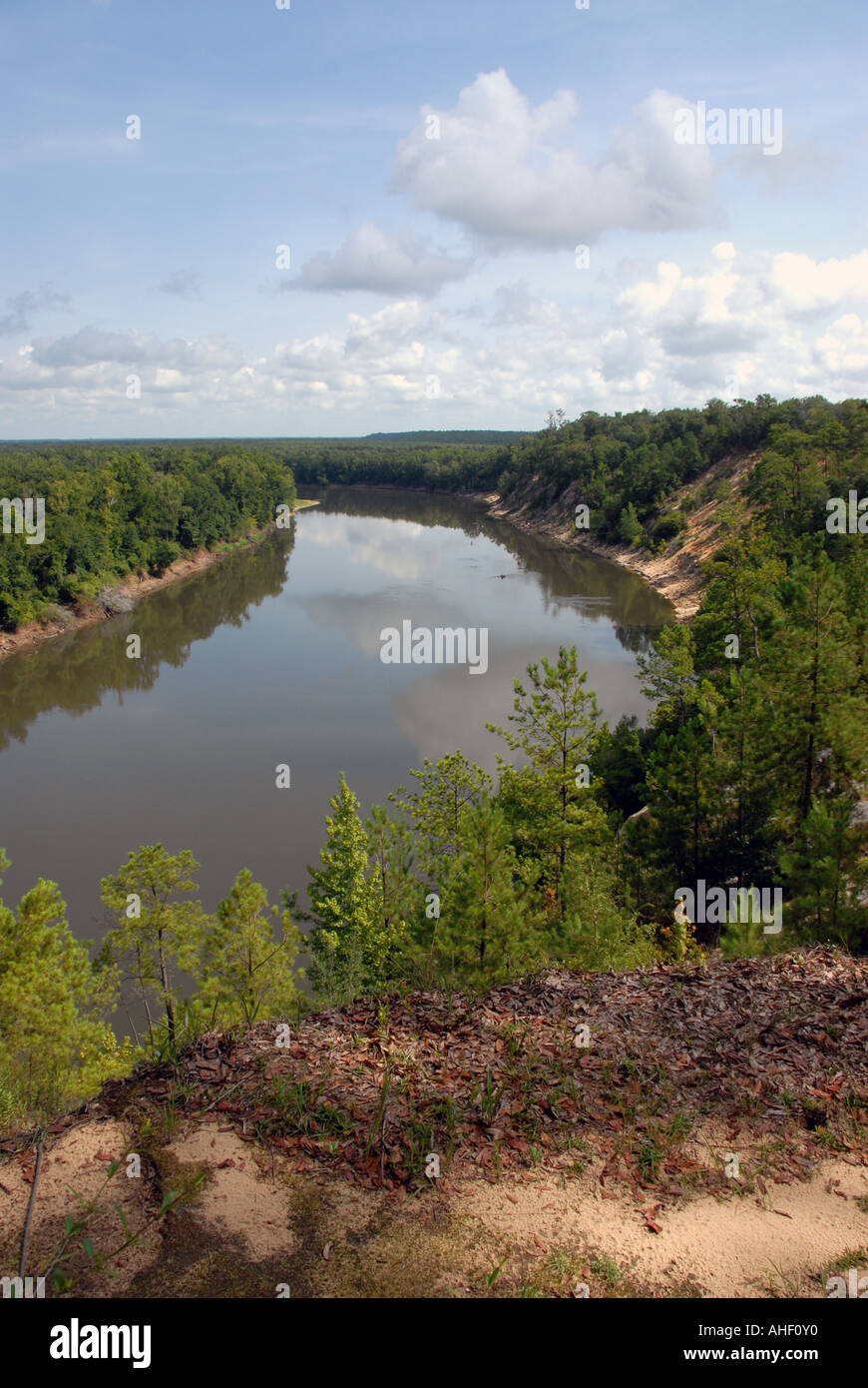 Giardino di Eden sentiero escursionistico vista dall'allume bluff sopra Apalachicola River Foto Stock