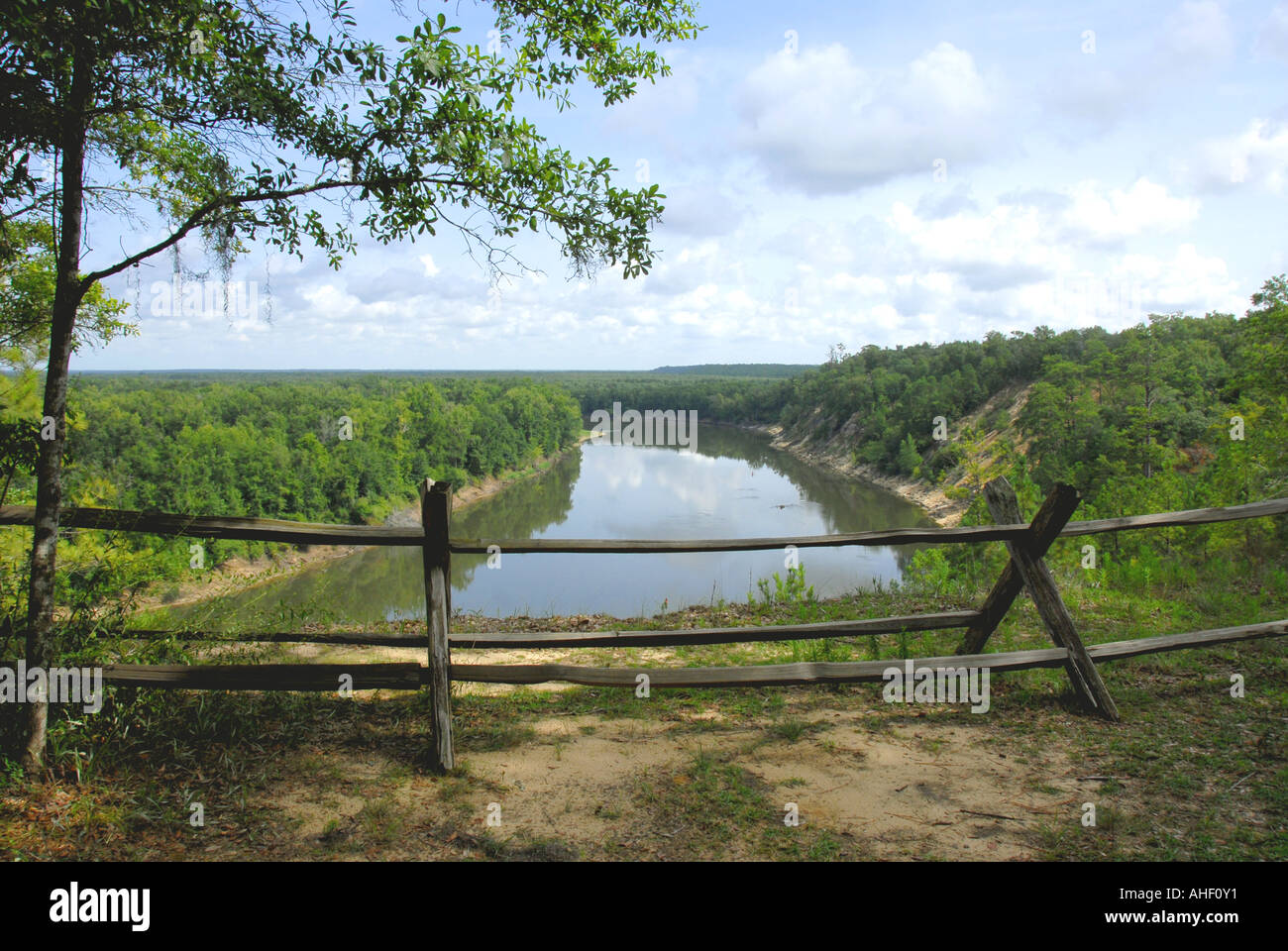 Giardino di Eden sentiero escursionistico vista dall'allume bluff sopra Apalachicola River Foto Stock