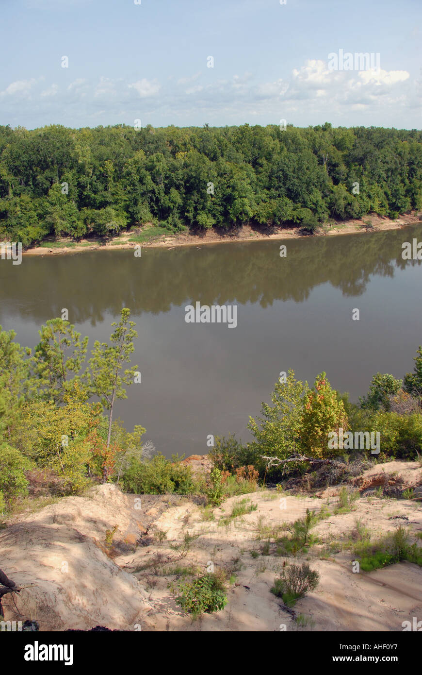 Giardino di Eden sentiero escursionistico vista dall'allume bluff sopra Apalachicola River Florida Foto Stock