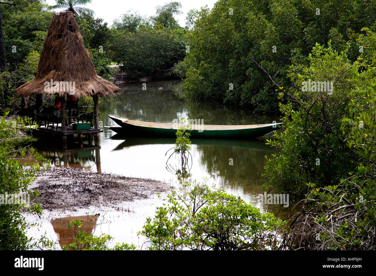 Scavati-out canoa sulla palude di mangrovie a Makasutu Natura e riserva culturale, il Gambia Africa occidentale prese nella piovosa stagione umida Foto Stock