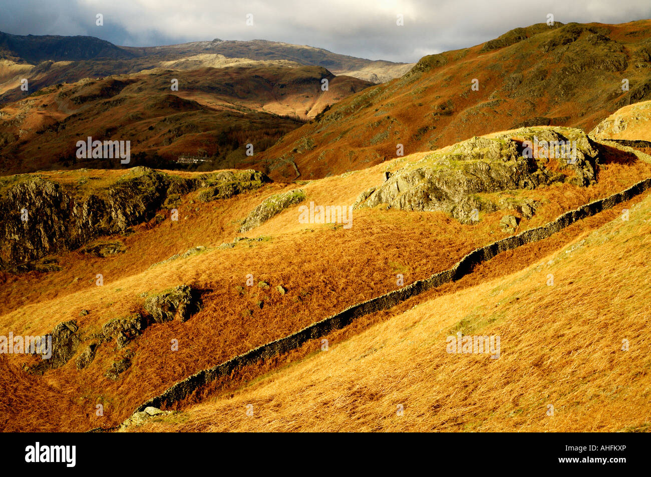 Scottish scoscese colline coperte con secchi bracken con le montagne sullo sfondo Foto Stock