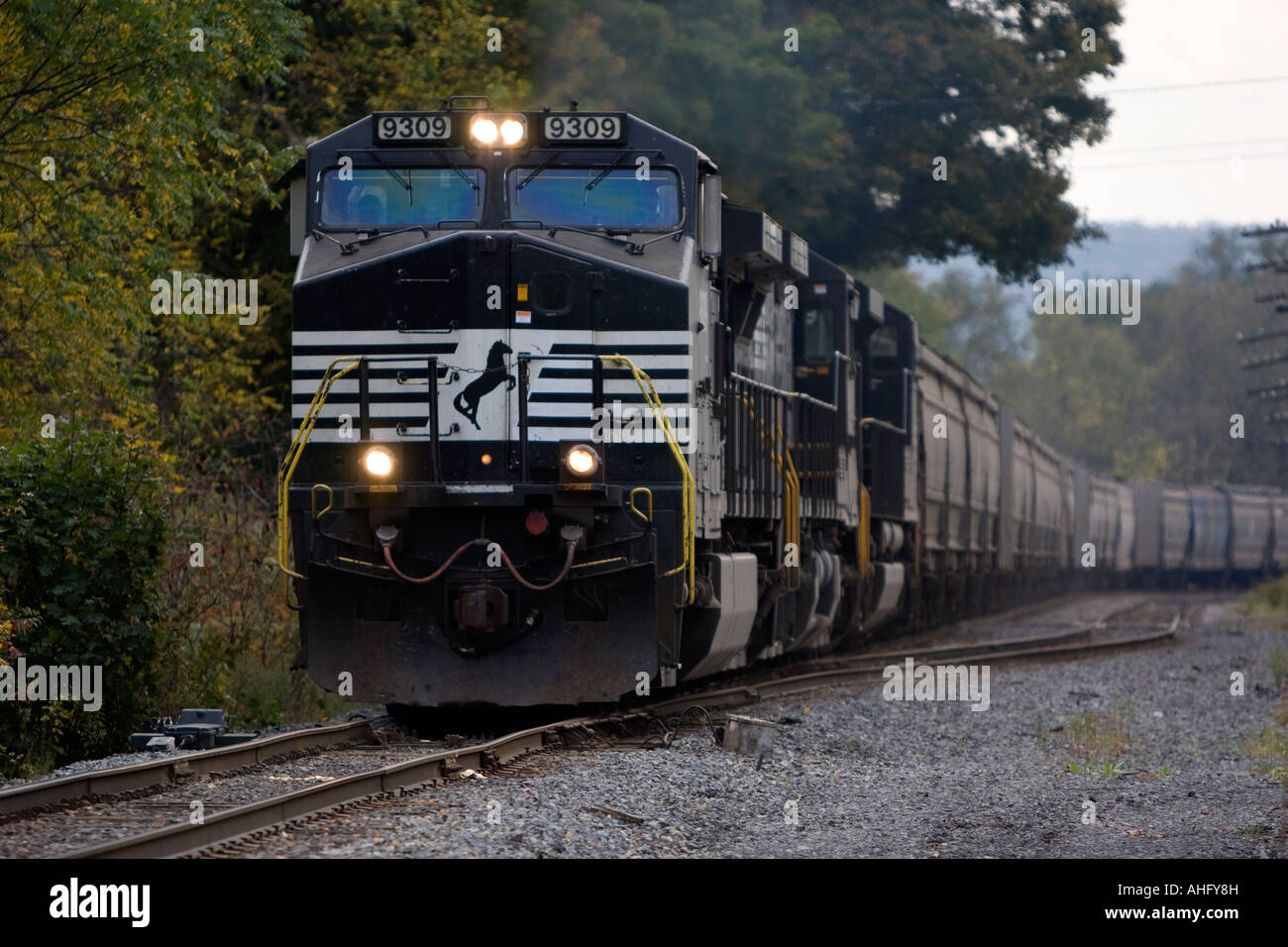 Un Norfolk Southern treno merci rotoli northbound in Afton, New York. Foto Stock