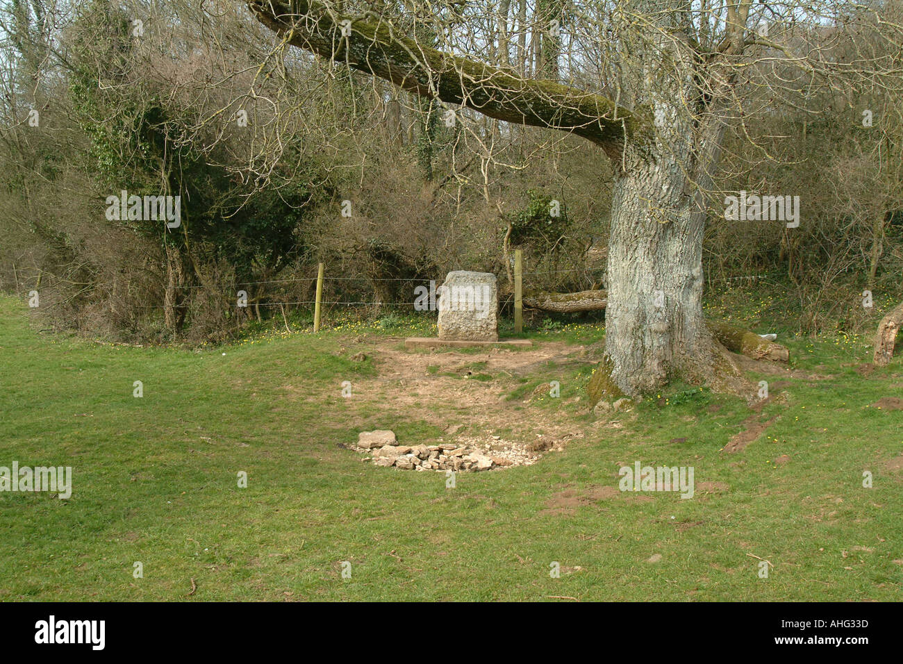 Sorgente del Fiume Tamigi nr Kemble Gloucestershire in Inghilterra Foto Stock
