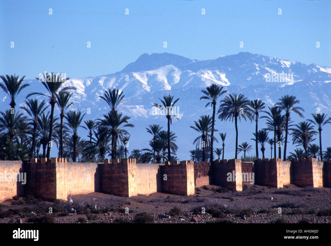 Jardin Agdal giardino pareti con palme contro le montagne innevate dell'Atlante, Marrakech, Marocco Foto Stock