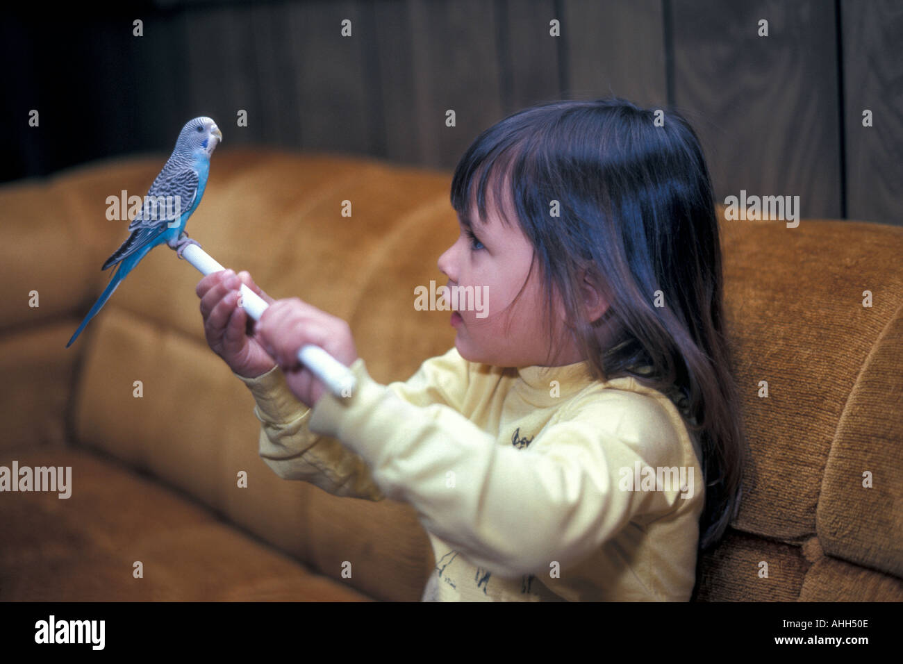 Bambina con Pet Bird Foto Stock