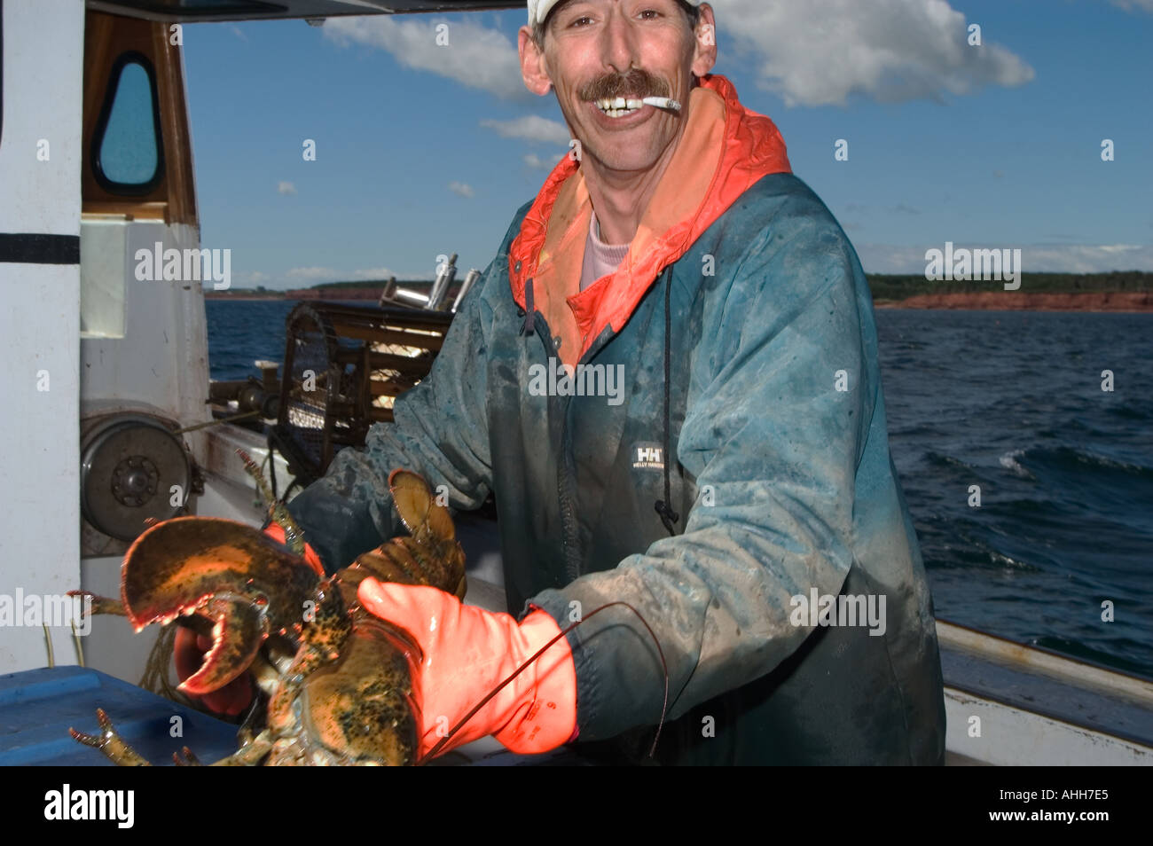 Acadian lobsterman detiene una grande aragosta destinati per l u s market Canada Foto Stock