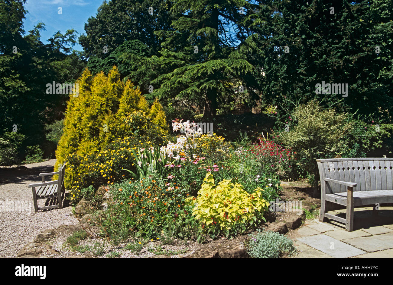 NESS giardini botanici NESTON CHESHIRE REGNO UNITO Luglio il rock garden area dei Giardini Botanici Foto Stock